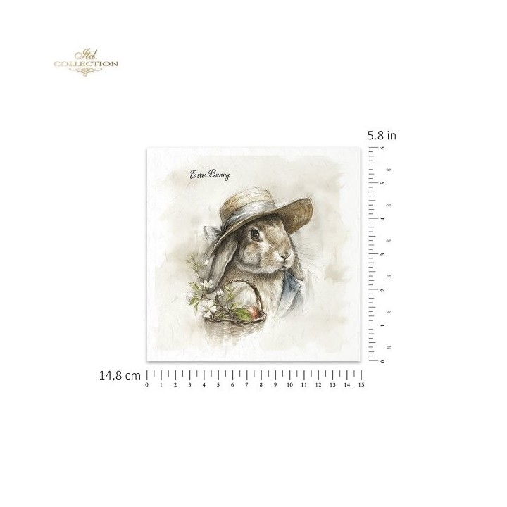 Rijstpapierset RSM241