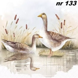 WILD GEESE servet 33x33cm