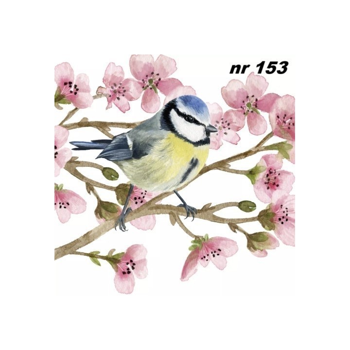Blue tits in spring branches servet 33x33cm