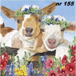 Gary & Gracie servet 33x33cm