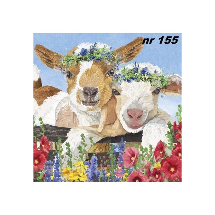 Gary & Gracie servet 33x33cm