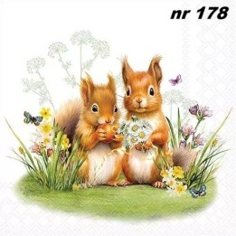 Little squirrels servet 33x33cm