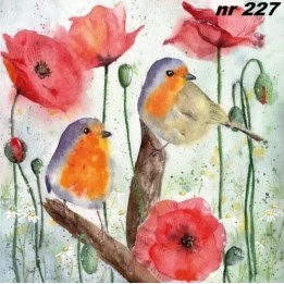 Red robin & poppy servet 33x33cm