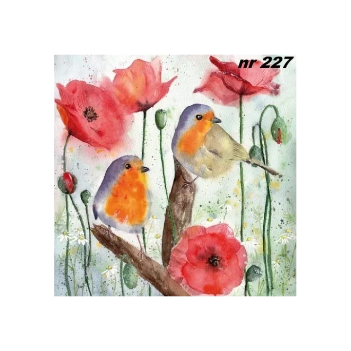 Red robin & poppy servet 33x33cm