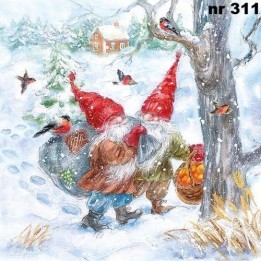 Hey ho servet 33x33cm