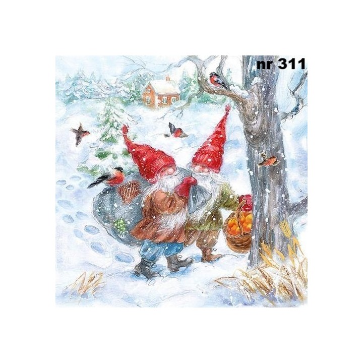 Hey ho servet 33x33cm