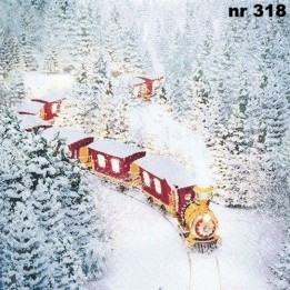 Polar express servet 33x33cm