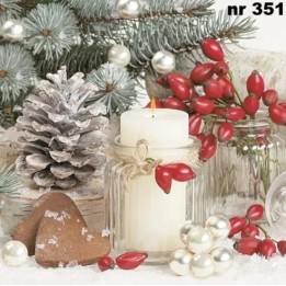 Snowy winter arrangement servet 33x33cm