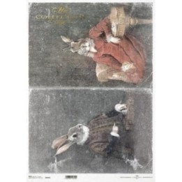 Rijstpapier R0660L