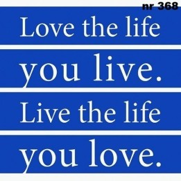 Love the life servet 33x33cm