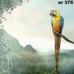 Parrot servet 33x33cm