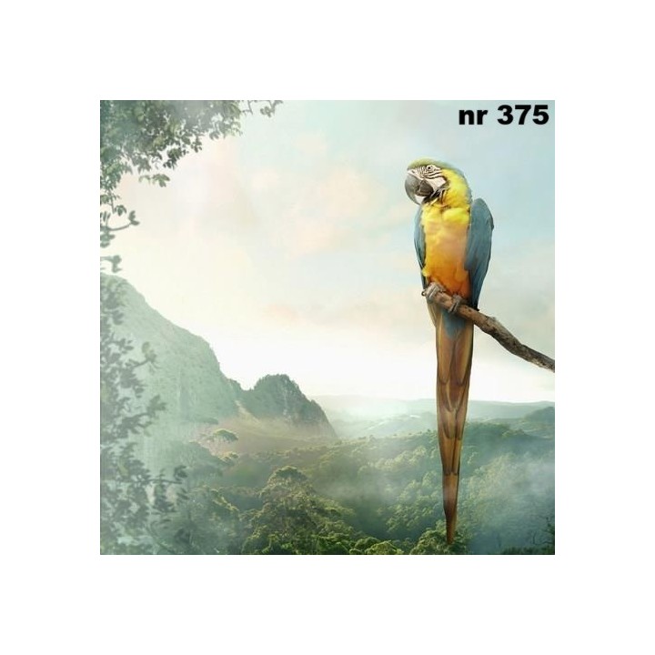 Parrot servet 33x33cm