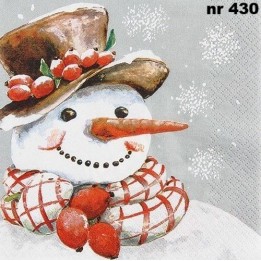 Frosty servet 33x33cm