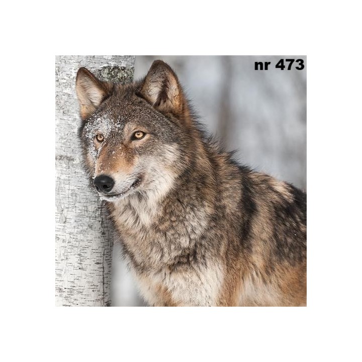Winter wolf servet 33x33cm