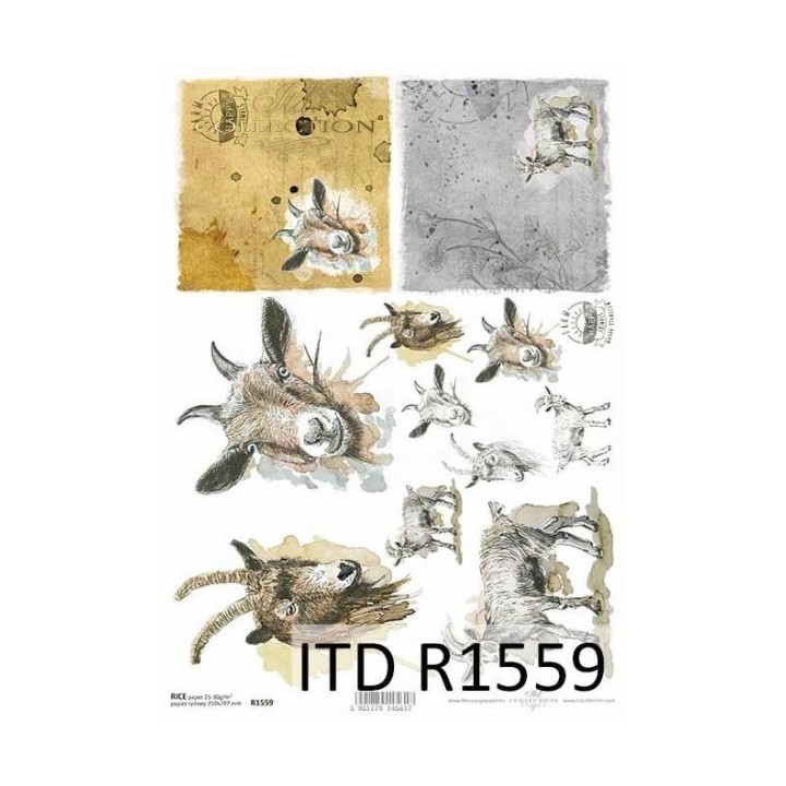 Rijstpapier R1559