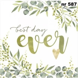 Best Day Ever servet 33x33cm