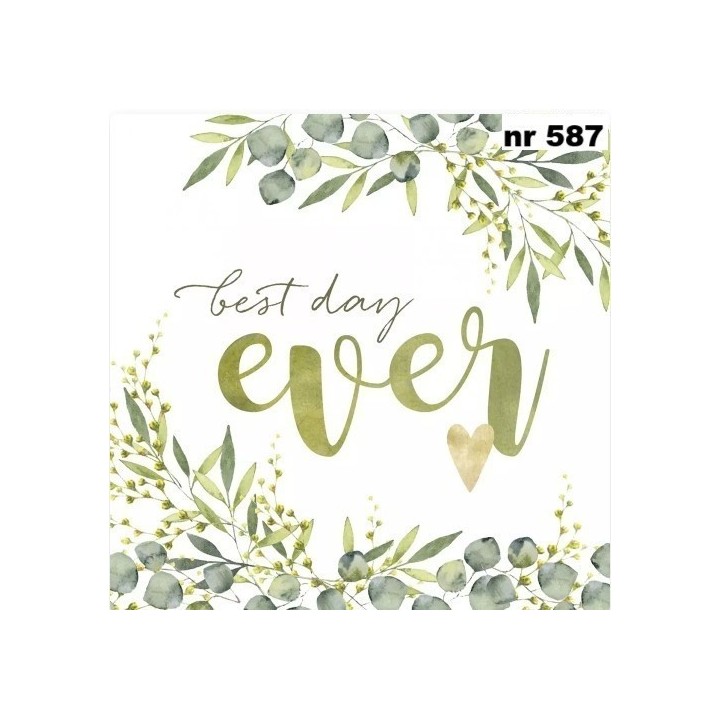 Best Day Ever servet 33x33cm