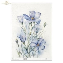 Rijstpapier R1308L