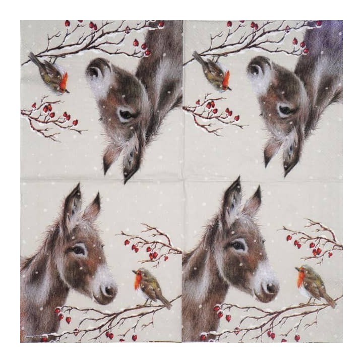 Donkey and robin servet 33x33cm