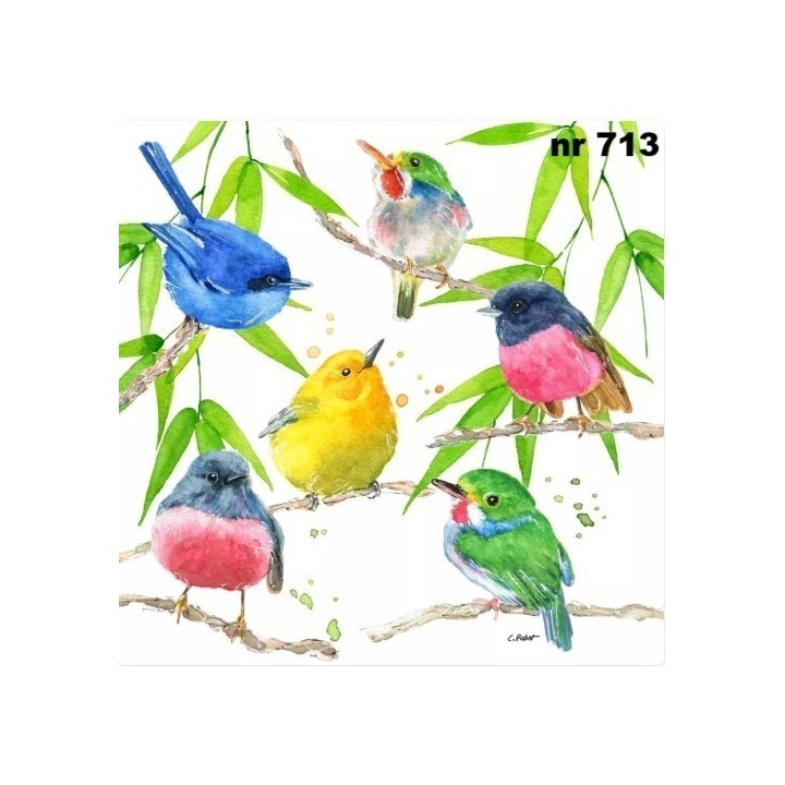 Bird Paradise servet 33x33cm