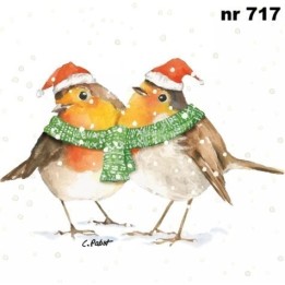 Frida & Fritz Winter robin servet 33x33cm