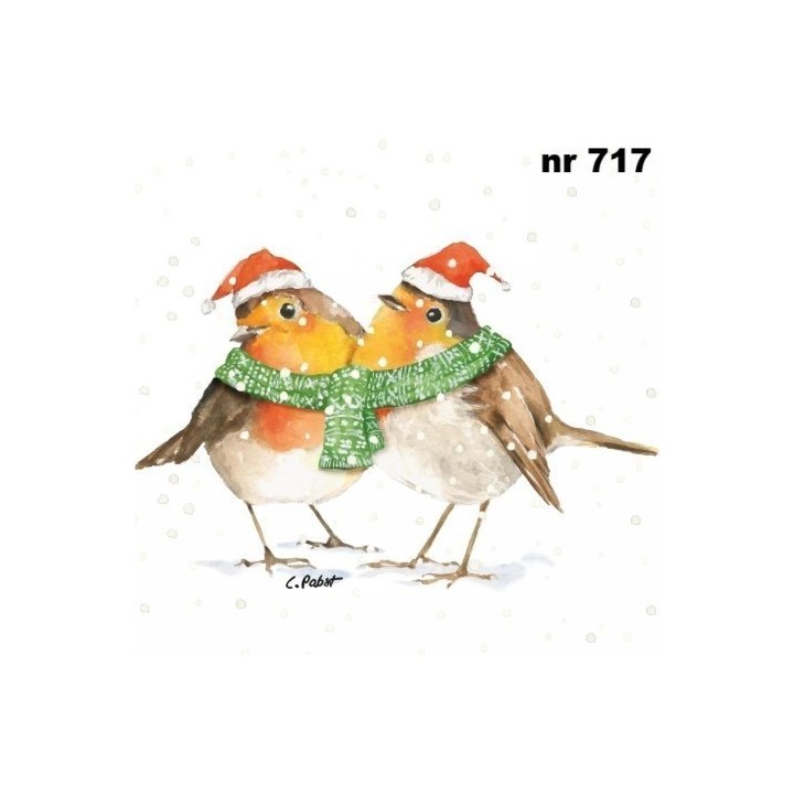 Frida & Fritz Winter robin servet 33x33cm