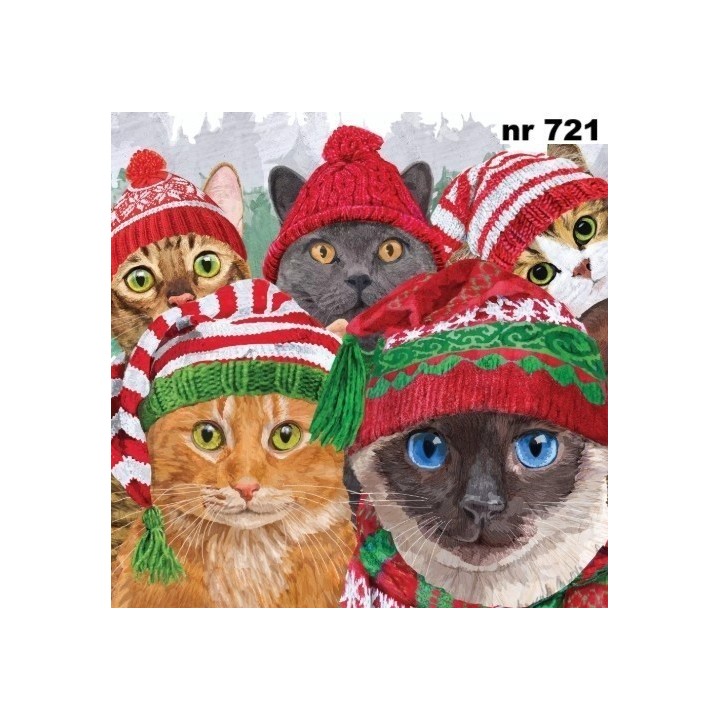 Cat Usie servet 33x33cm