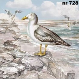 Seagull on the shore servet 33x33cm