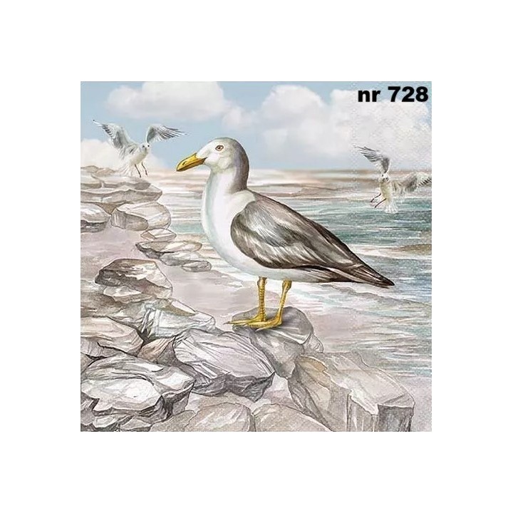 Seagull on the shore servet 33x33cm