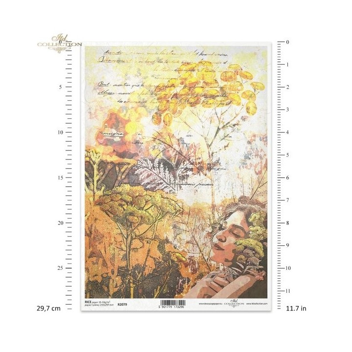 Rijstpapier R2079