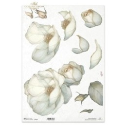 Rijstpapier R1531L