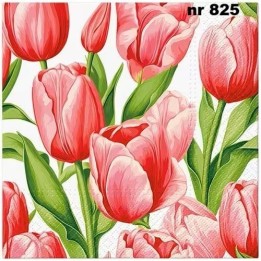 Tulip time servet 33x33cm