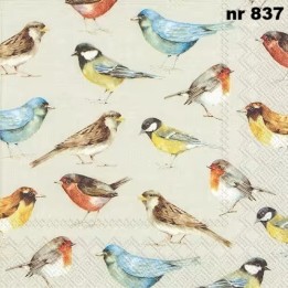 The birds servet 33x33cm