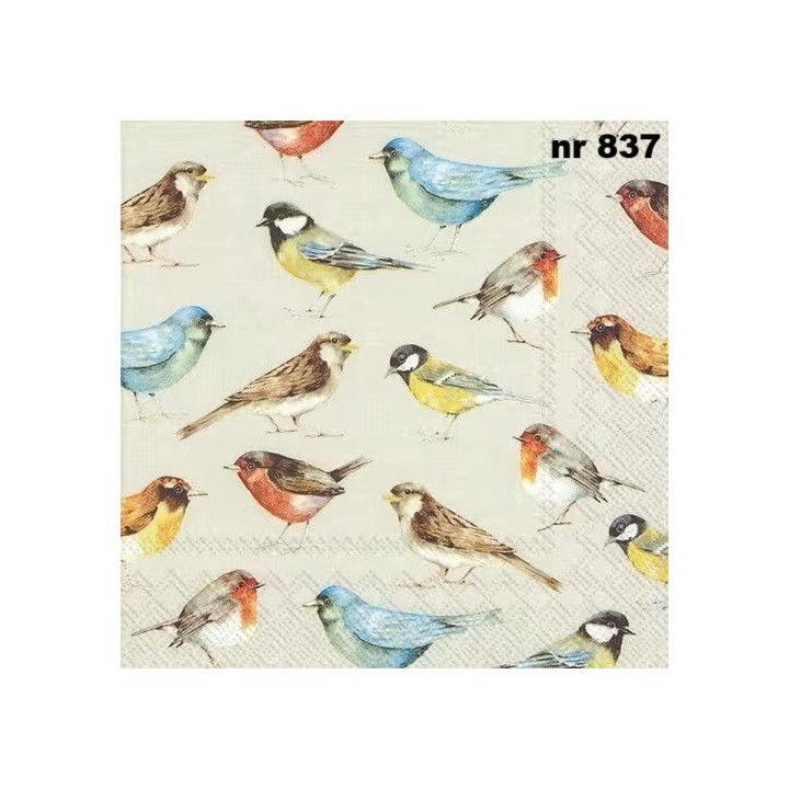 The birds servet 33x33cm