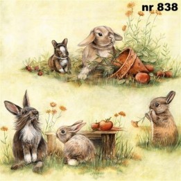 Cute rabbits servet 33x33cm