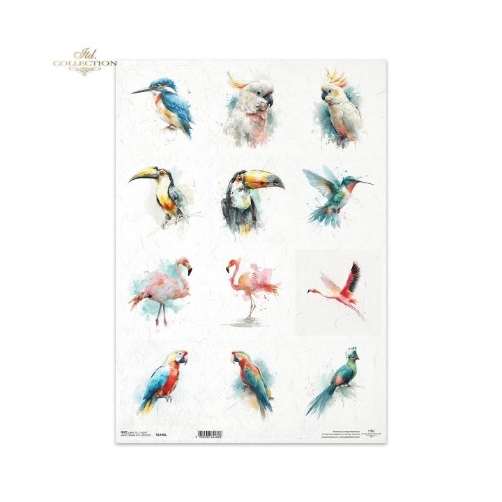 Rijstpapier R1690L Tropical Dreams
