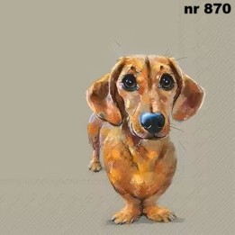 Dog Buddy - dachshund servet 33x33cm