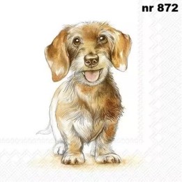 Fritz - rough haired servet 33x33cm