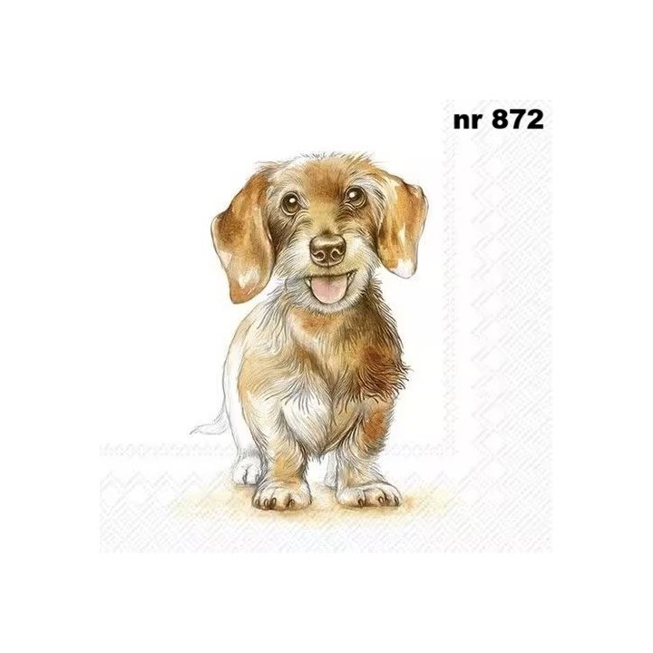 Fritz - rough haired servet 33x33cm