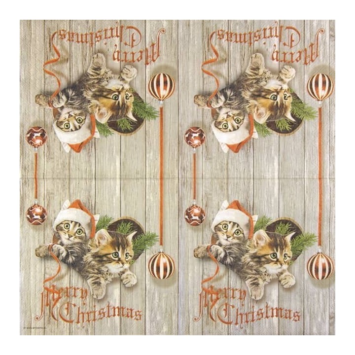 Curious kittens servet 33x33cm