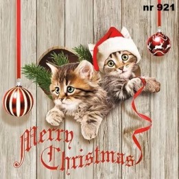 Curious kittens servet 33x33cm
