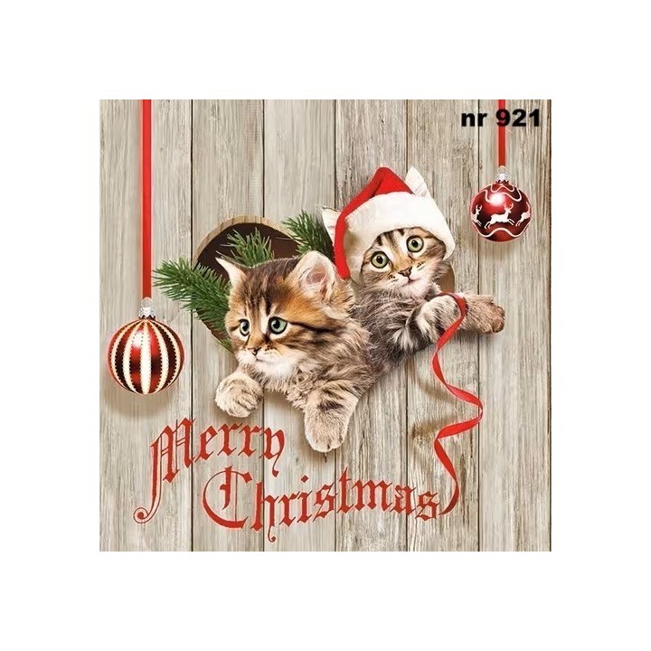 Curious kittens servet 33x33cm