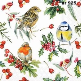 Birds in winter servet 33x33cm