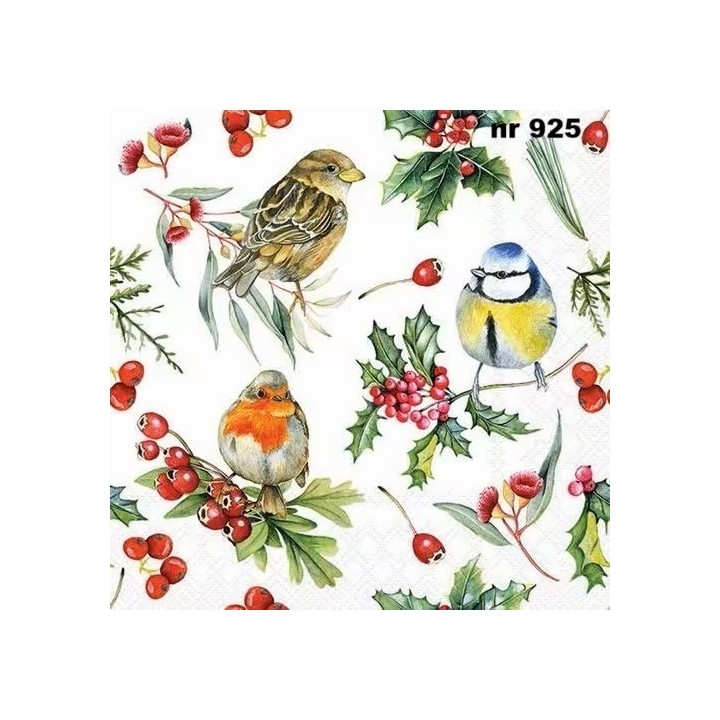 Birds in winter servet 33x33cm