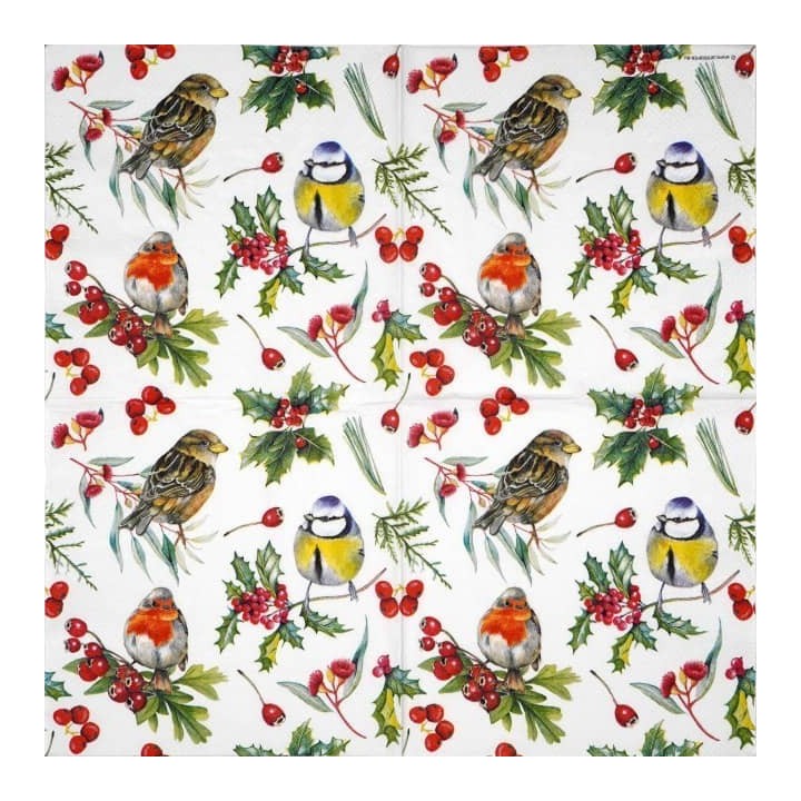 Birds in winter servet 33x33cm