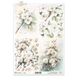 Rijstpapier R2590