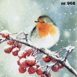 Hello Robin servet 33x33cm