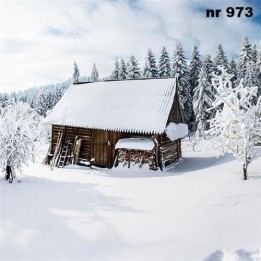 Winter Cabin servet 33x33cm