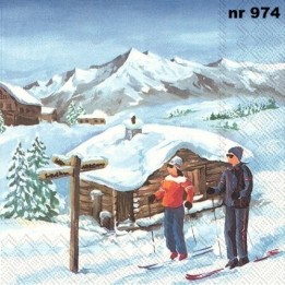 Ausblick servet 33x33cm