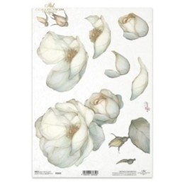 Rijstpapier R2692